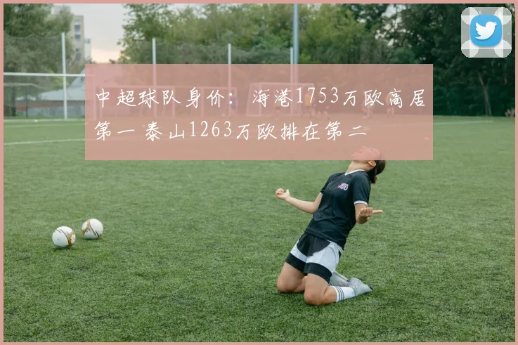 中超球队身价：海港1753万欧高居第一 泰山1263万欧排在第二